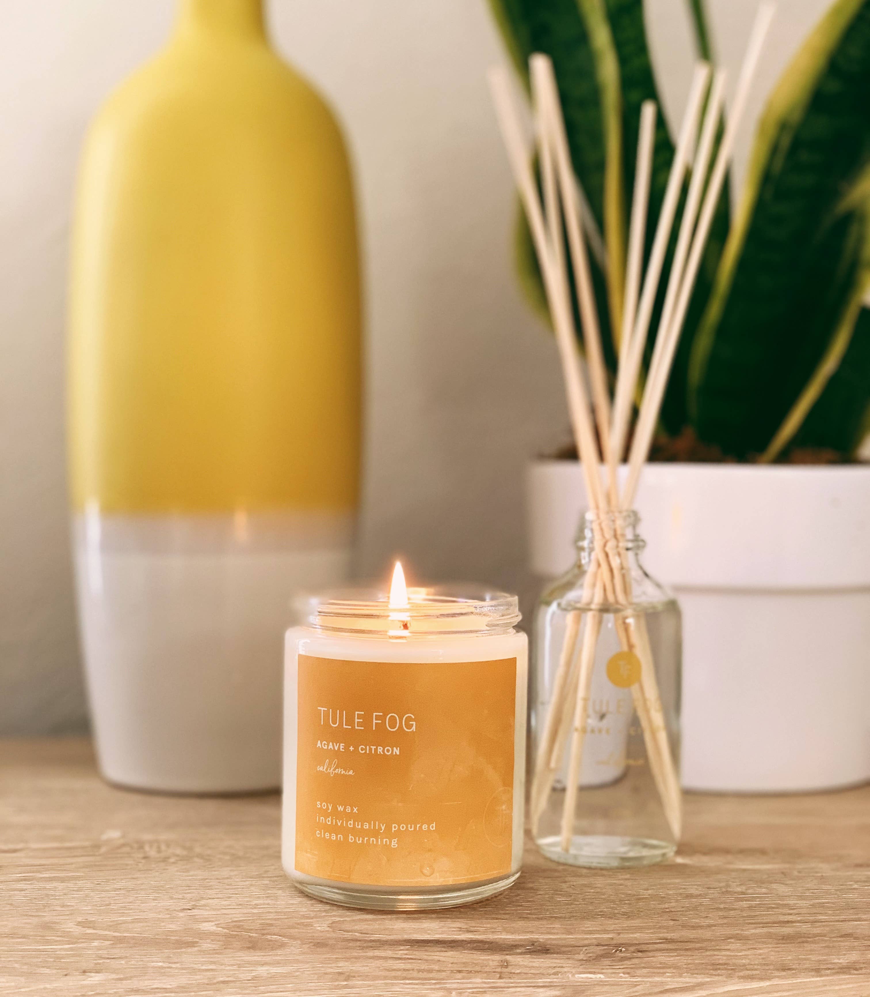 AGAVE & CITRON SOY CANDLE